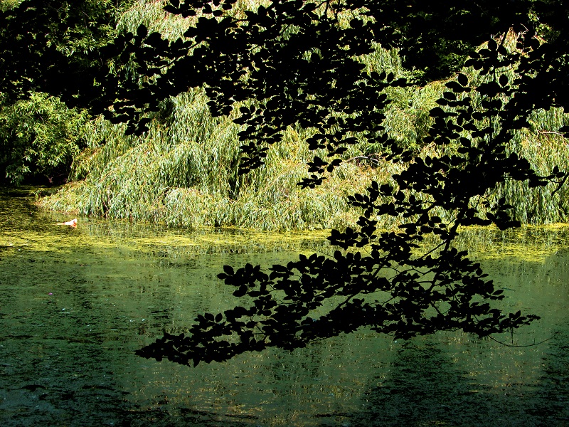 stadtpark-lichtenberg-2