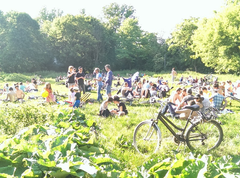 open-air-to-go-23-9