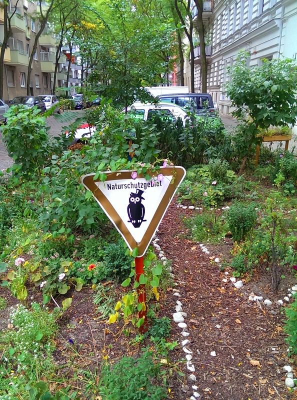 Moabeet-Berlin-urban-gardening-4
