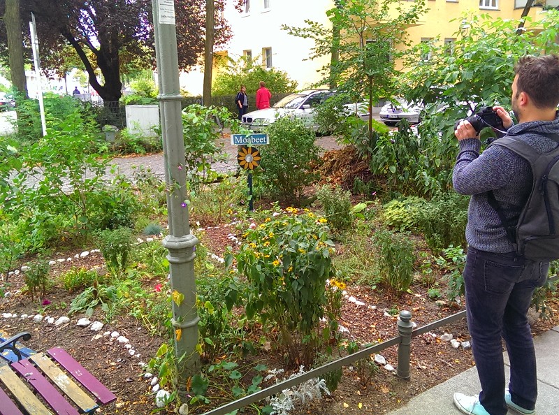 Moabeet-Berlin-urban-gardening