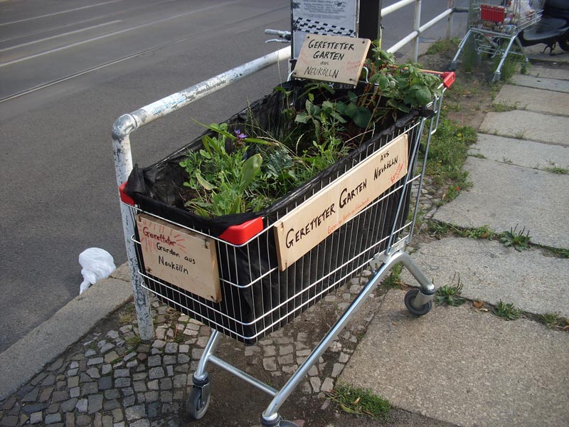 berlin-garten-im-meinkaufswagen