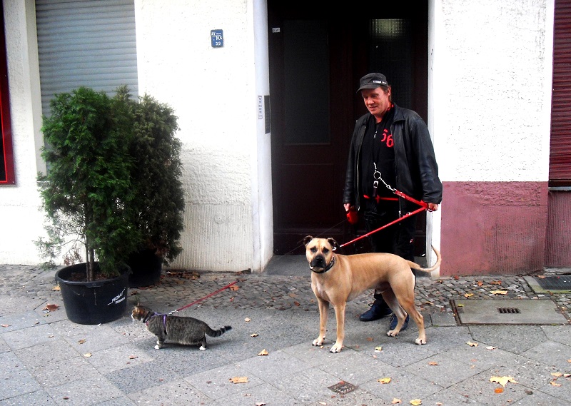 mann-hund-katze-wedding