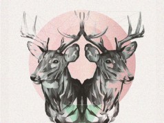 5.3. Möwe, David Keno und Zückertütentraum im WEYDE³ Club