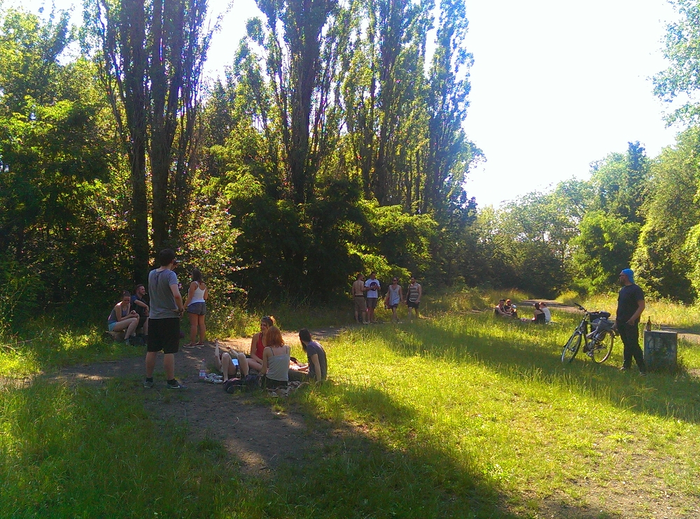 IMAG5269