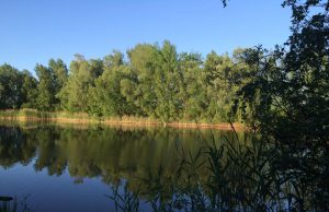 Greenwood Festival 15.7 – 18.7. auf dem Gelände am Kiekebuschsee bei Berlin