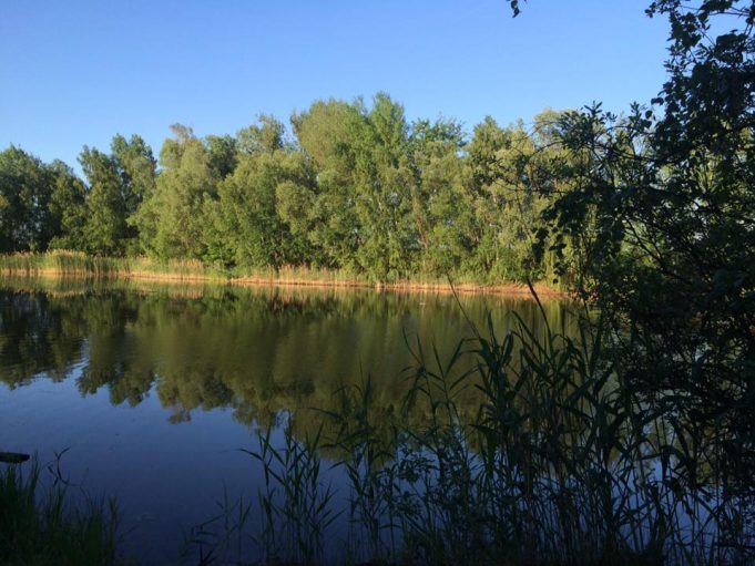 Greenwood Festival 15.7 – 18.7. auf dem Gelände am Kiekebuschsee bei Berlin