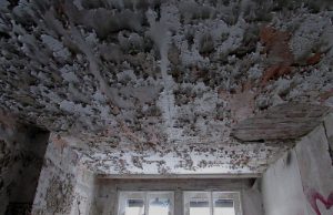 Spooky Places: Kinderkrankenhaus Weißensee