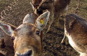 Brandenburg kann auch Schön