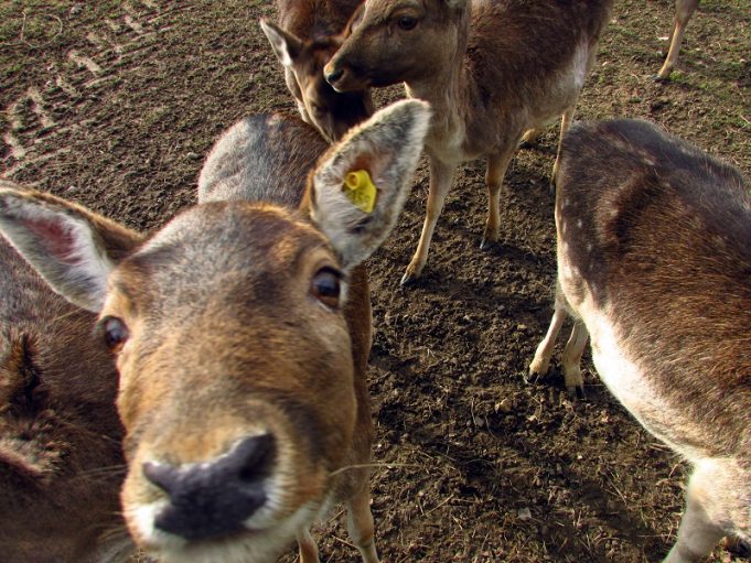 Brandenburg kann auch Schön