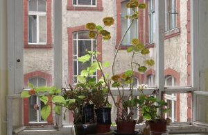 Müßigang braucht einen Plan.