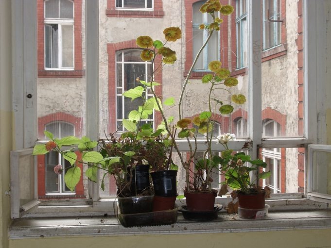 Müßigang braucht einen Plan.