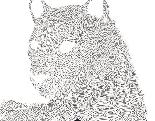 Illustrations by Lara Gradeill