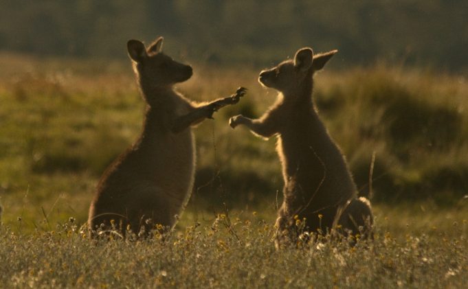 Die Berliner Clubs und ihre grandiosen Horror Bewertungen
