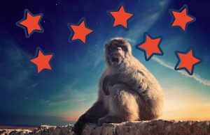 Na dann hat er halt die Box besprungen und sich zum Honk gemacht!