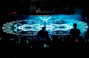 Local Suicide & Curses – Tusk Wax 28