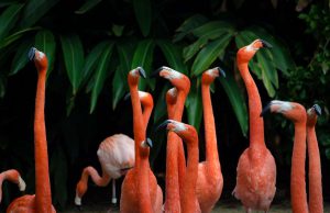 Comedy Keller – die neue Stand Up Comedy Show im Prenzlauer Berg – Donnerstag, 31.01. – Headliner: MASUD AKBARZADEH