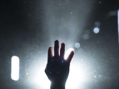 21.11. Botticelli Baby LIVE at Auster Club