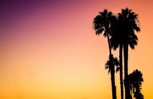 30.3. Discoteca Paradiso im Sameheads