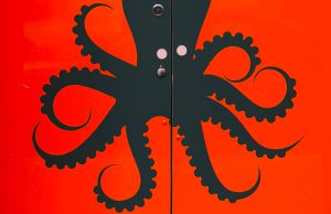 Interview mit Nico Deuster vom KRAKE Festival