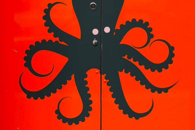 Interview mit Nico Deuster vom KRAKE Festival