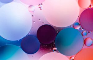 48 Stunden Neukölln