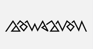 Label Interview: SOWASVON