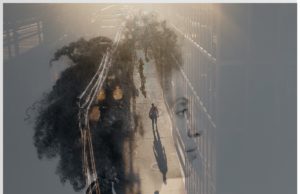 MARTINA TOPLEY-BIRD ANNOUNCES NEW STUDIO ALBUM “FOREVER I WAIT”