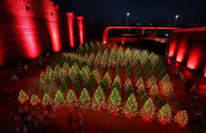 DARK MATTER – Winterlights