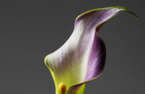 Rankin:“Der unglaubliche Boom beim Zugang zur Fotografie ist vielleicht die größte Entwicklung in diesem Bereich in den letzten Jahren.“