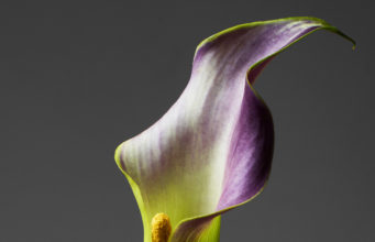 Rankin:“Der unglaubliche Boom beim Zugang zur Fotografie ist vielleicht die größte Entwicklung in diesem Bereich in den letzten Jahren.“