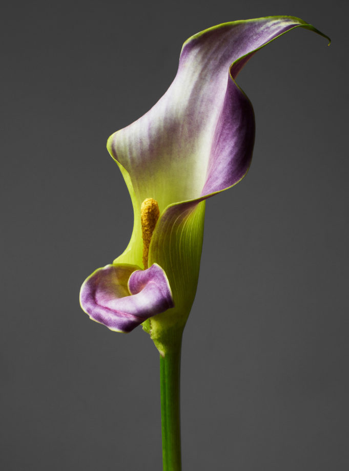 Rankin:“Der unglaubliche Boom beim Zugang zur Fotografie ist vielleicht die größte Entwicklung in diesem Bereich in den letzten Jahren.“