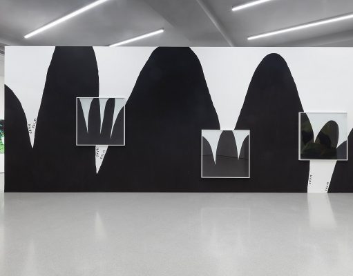 Artistic Intervention Success Perm @ C/O Berlin