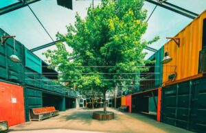 ELSE kündigt das Programm für 2025 an: Open-Air-Saison startet am 26. April