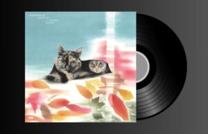 Eddie Marcon – Carpet Of Fallen Leaves (Morr Music)