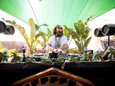 ARTIST INTERVIEW: Lincoln Jesser