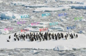 Hamburger Club Südpol – Wenn Clubkultur um ihr Überleben kämpft