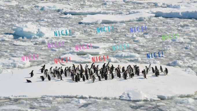 Hamburger Club Südpol – Wenn Clubkultur um ihr Überleben kämpft