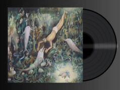 Misha Sultan – Lantern In The Woods