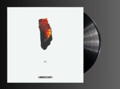 WAYF VOL1 – CHRONICLES DIARY