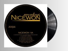 VA – Nicewon VA