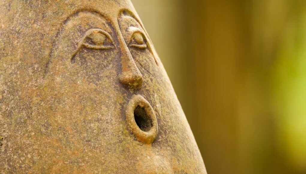 photo-1650031482759-60bc76d0c517