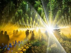 DARK MATTER – FOREST SEASONS 2026