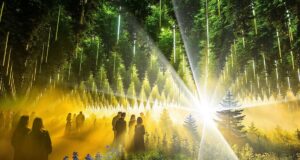 DARK MATTER – FOREST SEASONS 2026