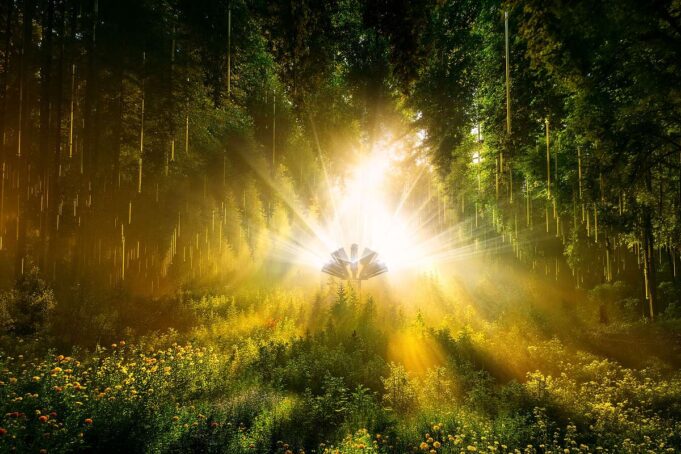 DARK MATTER – FOREST SEASONS 2026