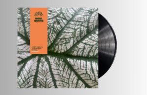 Sean Green – The Green Room