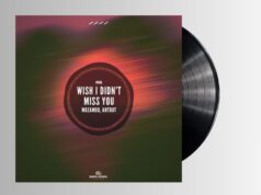 MOZAMBO, ANTODOT – WISH I DIDN’TMISS YOU