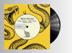 RYAN ARNOLD, ACID HARRY, DERIN ATILA – WALA MILYON