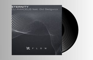 DJ AMADEUS – ETERNITY (Feat. Gid Sedgwick)
